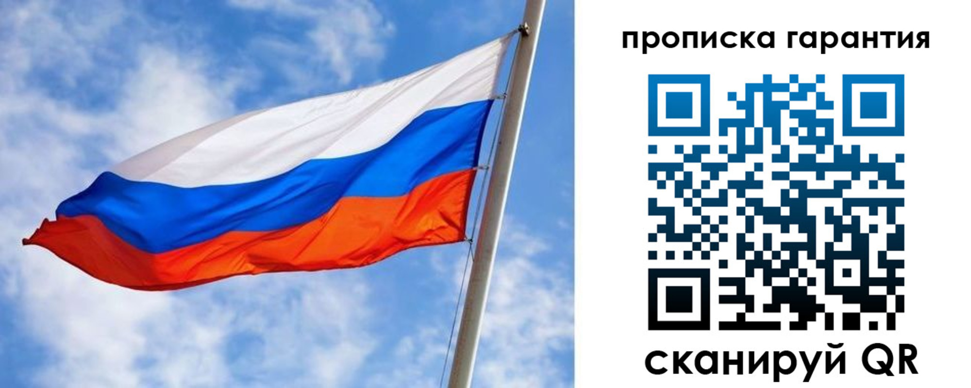 прописка гарантия в Вельске